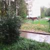 единственный островок во весь двор