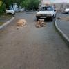 Заграждение 2 ул Железнодорожная 