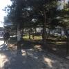Из центра забора нет
