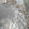 В этом месте у Тургеневского моста всегда жуткая вонь, вода чёрная, гнилая.