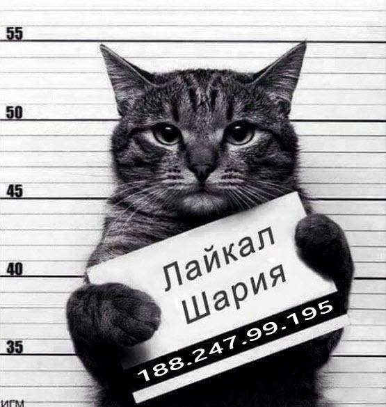 Андрей  Дегтярев