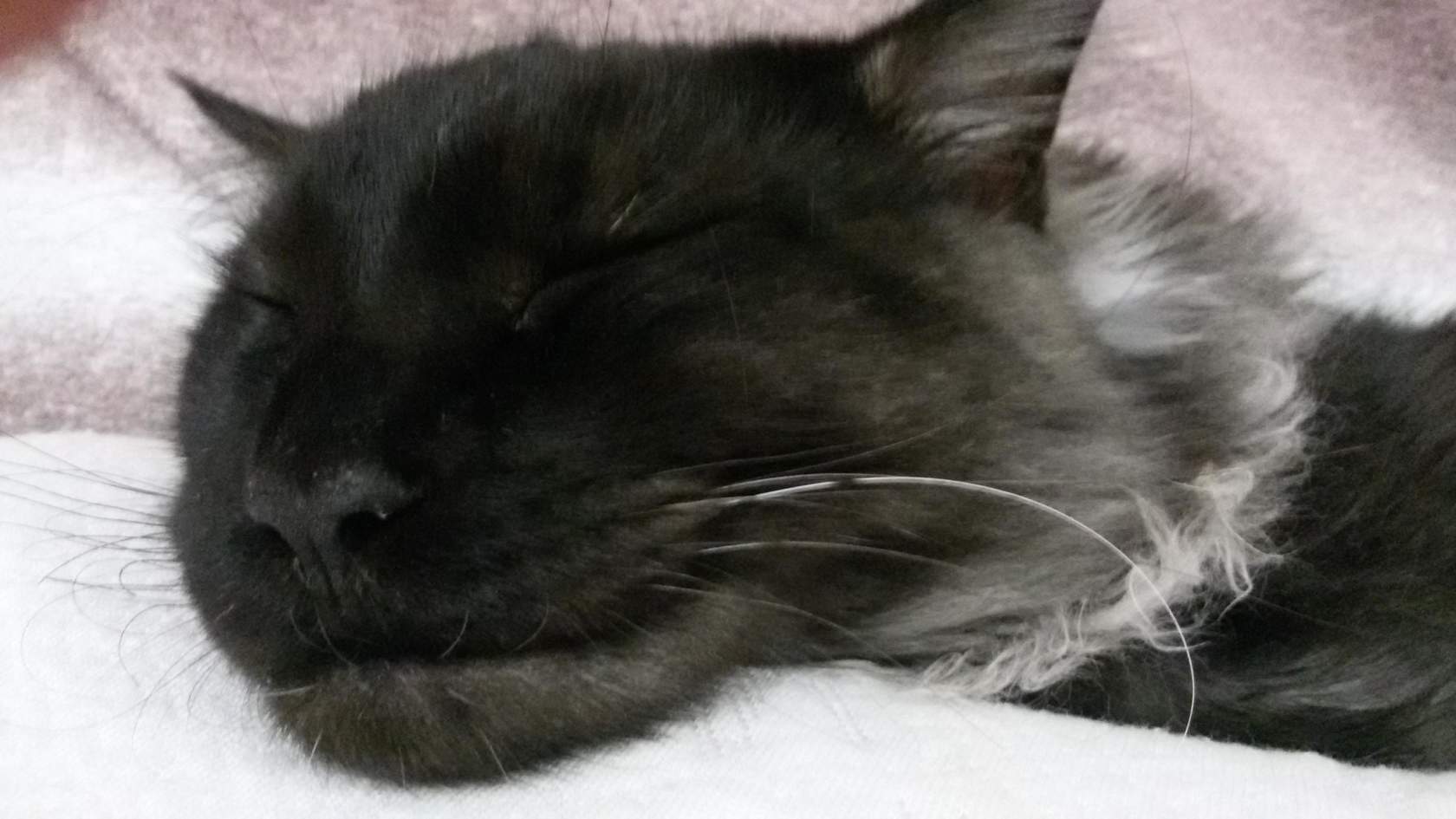 Светлана Заблудова