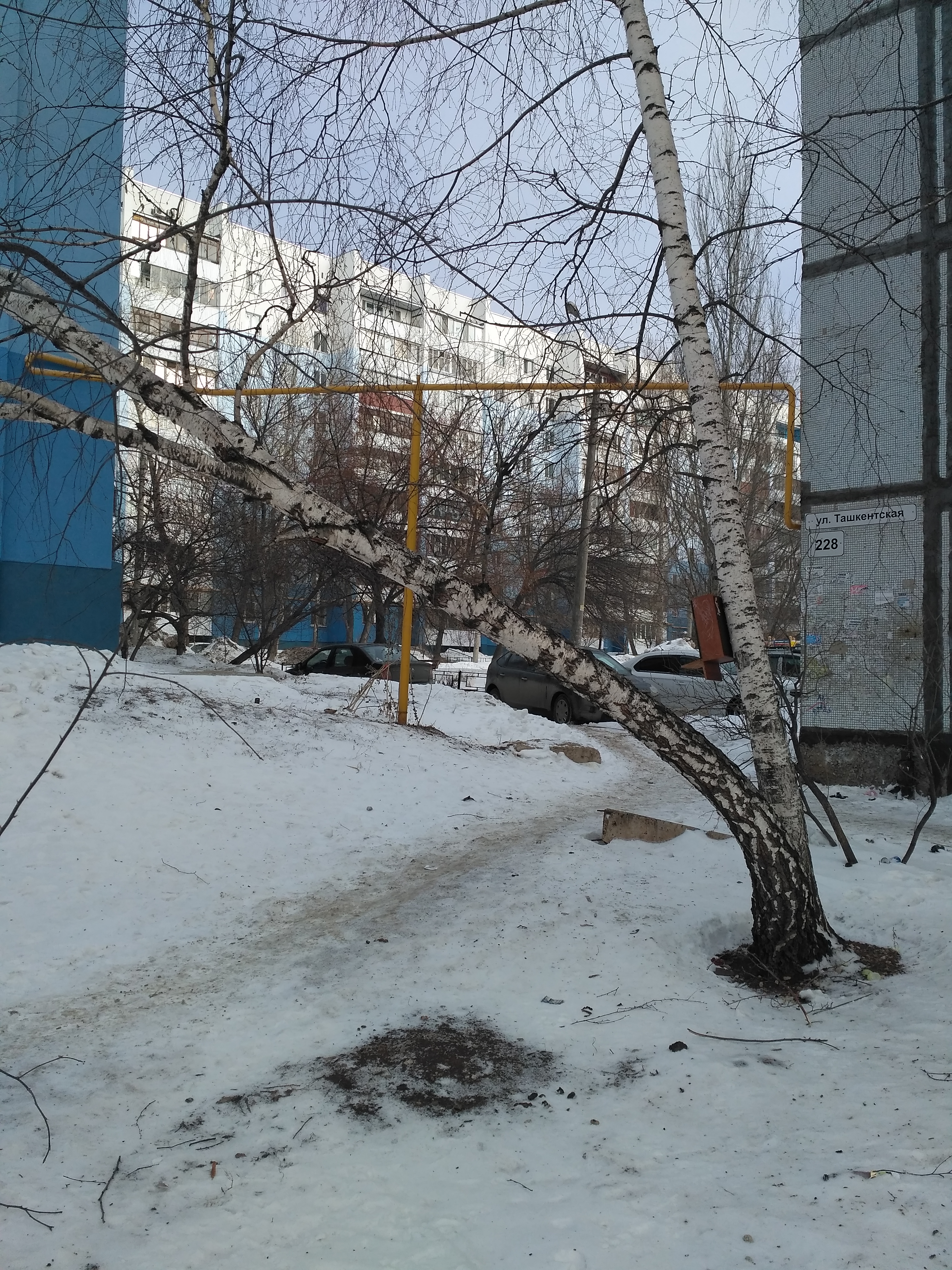 Павел Цацин