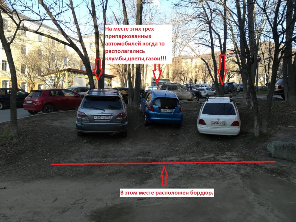 Как оштрафовать за парковку на газоне по фото в спб