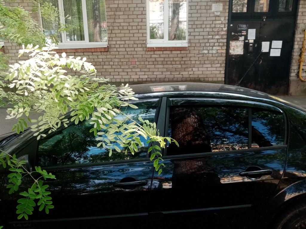 прогревают машину под окнами. прогревают машину под окнами. фото вред снега. детская прогрев города. парковка во дворе петербург зима.