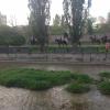 Фотография 1