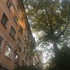 Фотография 3