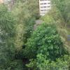 Фотография 5