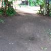 Фотография 2