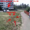 Фотография 12