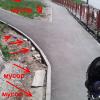 Фотография 9