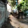 Фотография 3