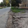 Фотография 1