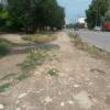 Фотография 3