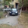 Фотография 1