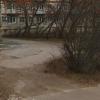 Фотография 1