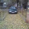 Фотография 1