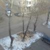 Вид сверху