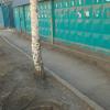 Фотография 1