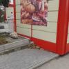 Фотография 1