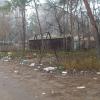 Так выглядят окрестности мусорки. Расположенный рядом лес весь завален мусором, прилетевшим именно с этой мусорки.