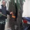 моет мопед 