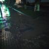 Фотография 1