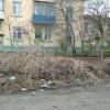 Фотография 3