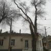 Фотография 1