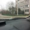 Фотография 2
