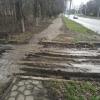 Фотография 2