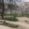Фотография 3