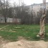 Фотография 3