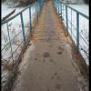 Фотография 3