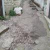 Фотография 1