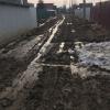 Фотография 3