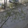 Блокираторы установлены между большой охраняемой парковкой и домом 82/1