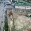 Фотография 1