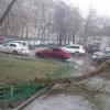 Фотография 1