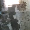 Фотография 1