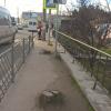 Фотография 1