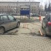 Фотография 1