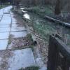 Фотография 1