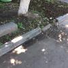 Фотография 3