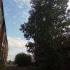 Фотография 1