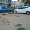 Фотография 6