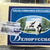 Фотография 6