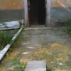 Фотография 1