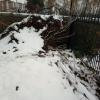 Куча спиленных деревьев, сломанных веток, мусора на границе Еврейского и Лисихинского кладбищ. 