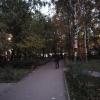 Фотография 3